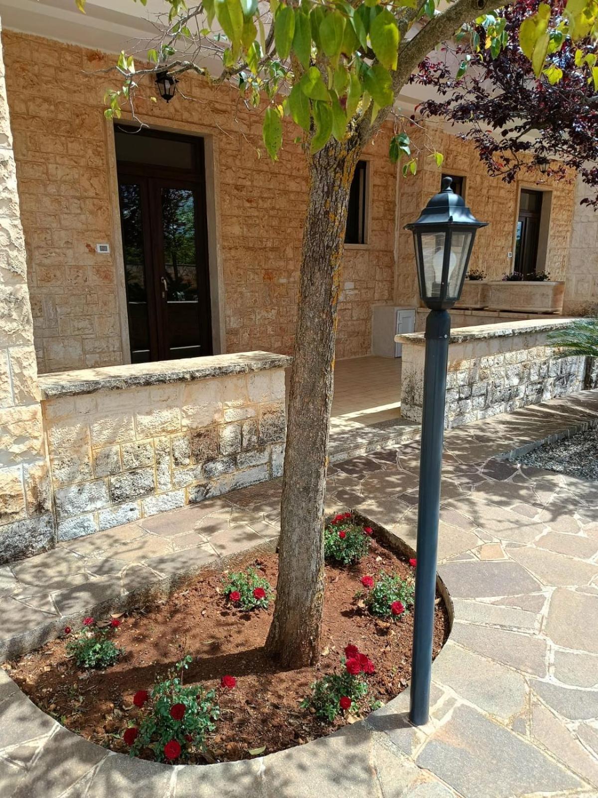 Villa Lisi سيلفا دو فاسانو المظهر الخارجي الصورة