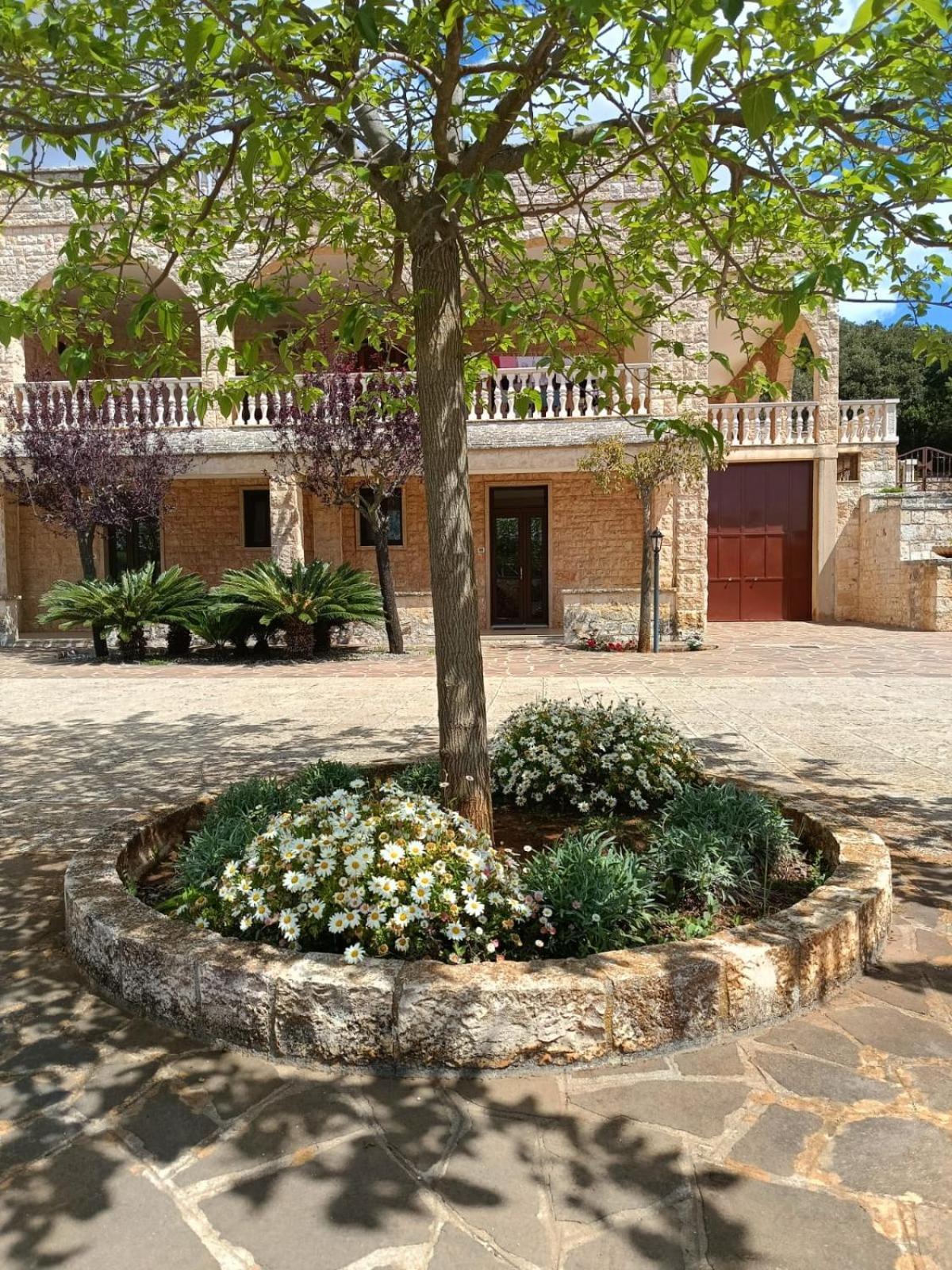 Villa Lisi سيلفا دو فاسانو المظهر الخارجي الصورة