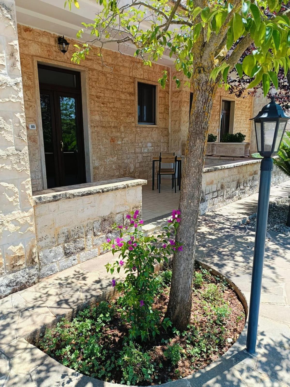 Villa Lisi سيلفا دو فاسانو المظهر الخارجي الصورة